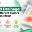 Wound drainage colors and types, including serous, sanguineous, serosanguineous, and purulent drainage. Copy alt text